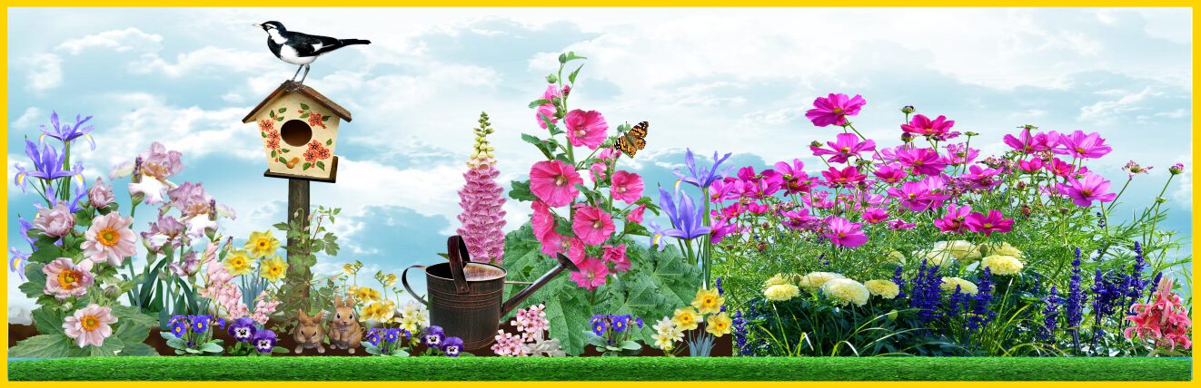 Sommer Bild